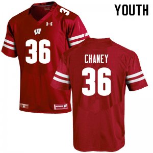 Youth Wisconsin Badgers NCAA #36 Jake Chaney Red Authentic Under Armour Stitched College Football Jersey KK31J26BA
